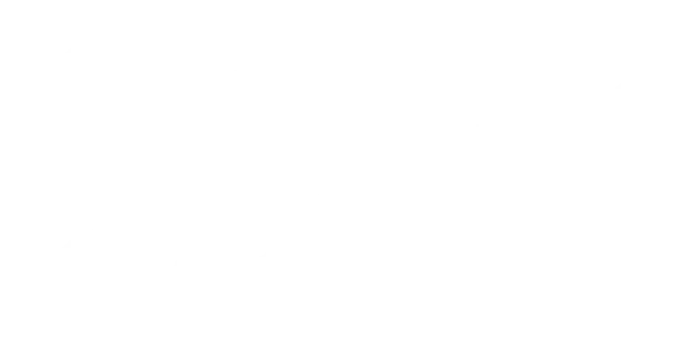 skipthedev wordpess elementor icon